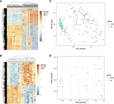 Ubiquitin-Like Modifier Activating Enzyme 1 as a Novel Diagnostic and Prognostic Indicator That Correlates With Ferroptosis and the Malignant Phenotypes of Liver Cancer Cells